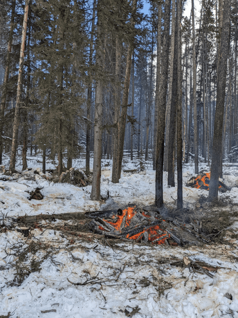 Two fires burning in a forest during the winter.
